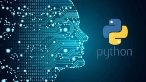 Python Developer Guide Roles Skills and Salary