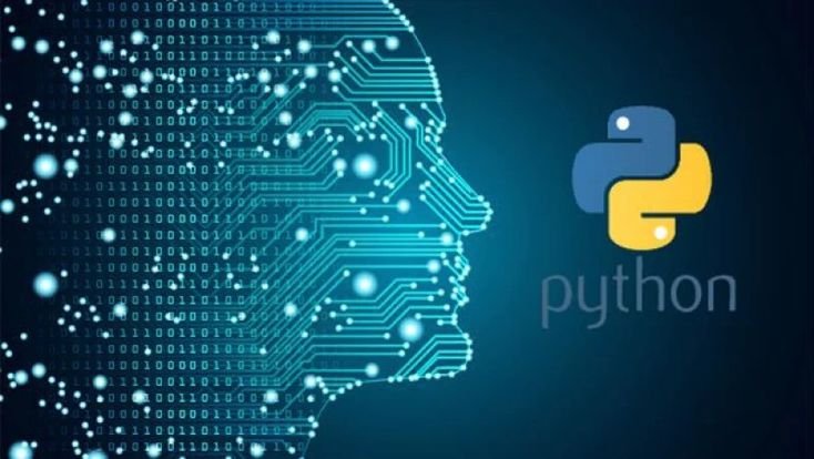 Python Developer Guide Roles Skills and Salary
